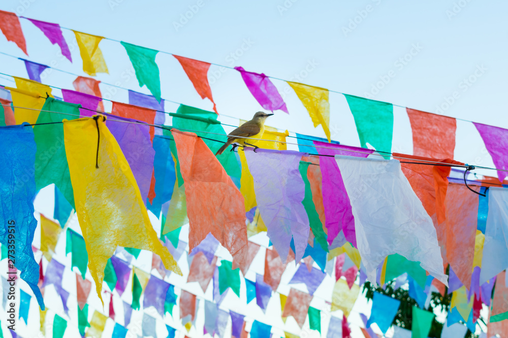 Tropical kingbird (Tyrannus melancholicus) on flags used for decoration at the June Festivals (aka festas de Sao Joao), popular annual Brazilian celebration