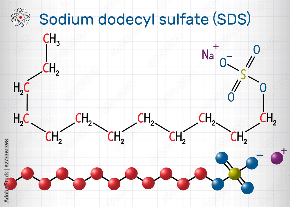 Sodium dodecyl sulfate (SDS), sodium lauryl sulfate (SLS) molecule. It