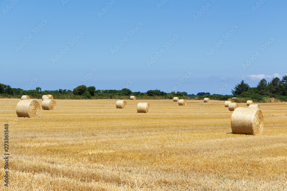 Straw bales in a field in Brittany