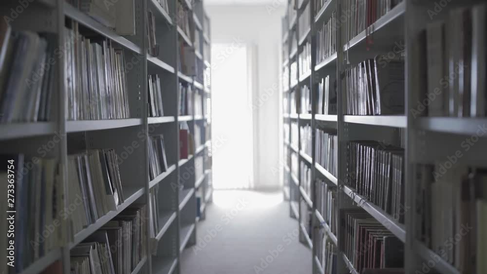 Library shelves with lots of books. Library shelves with lots of books.