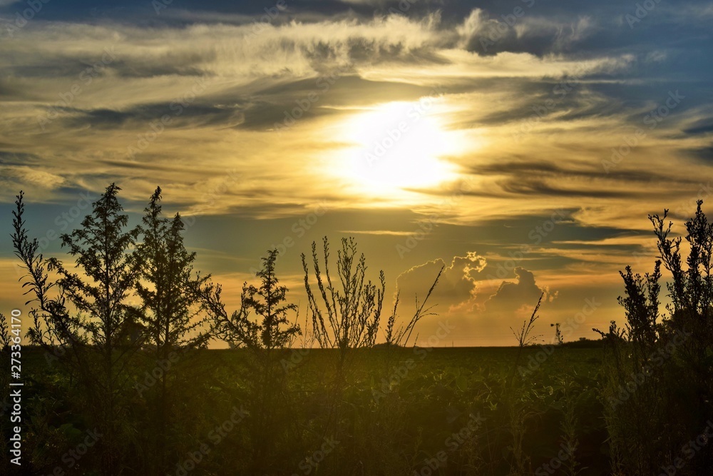 Fototapeta premium Paisaje encantado