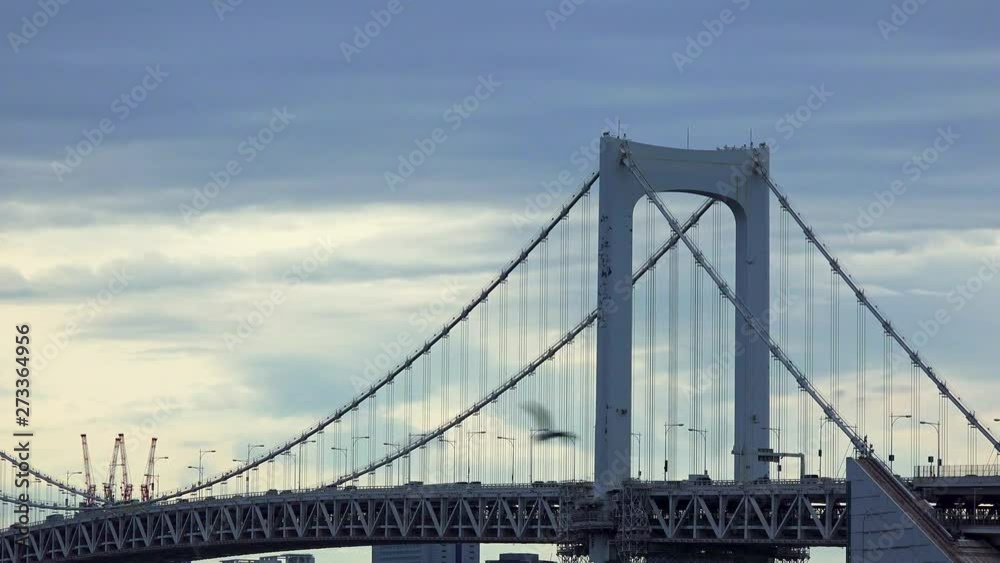 Bridge from Odaiba, Tokyo, Japan Bridge from Odaiba, Tokyo, Japan
