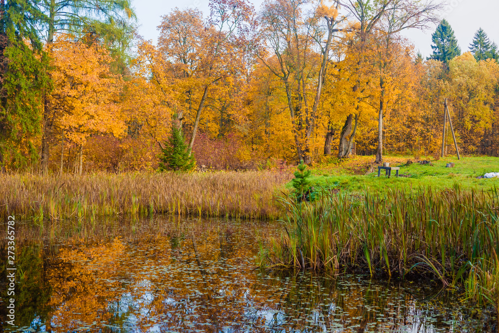 Couple walks in the autumn forest