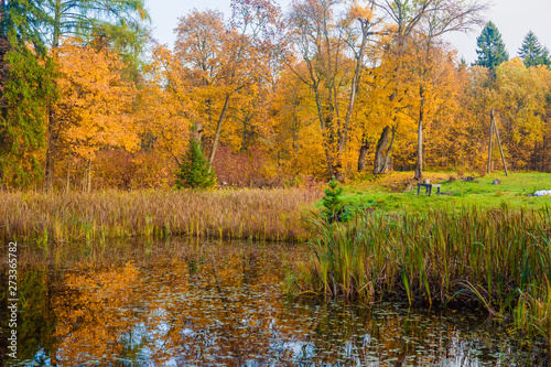 Couple walks in the autumn forest