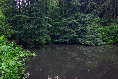 lake