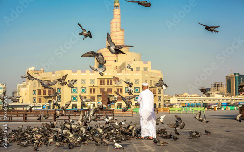 gentleman feeding pigeon at the public