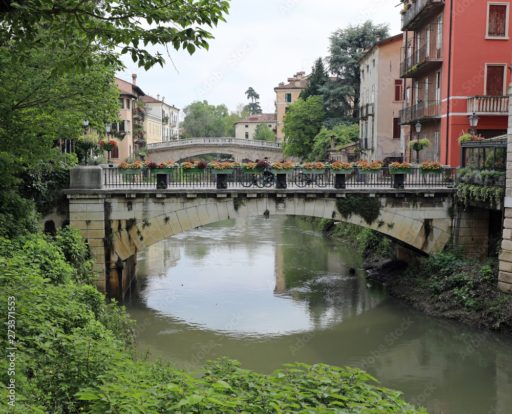 famous bridges in Vicenza City in Italy over the Retrone River
