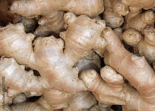 ginger roots grown in the Indian soil