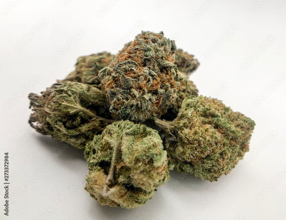 Marijuana Cannabis Plant Buds