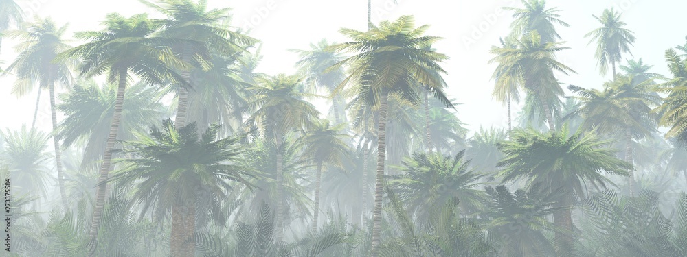Naklejka premium Jungle in the fog at sunrise, palm trees in the haze
