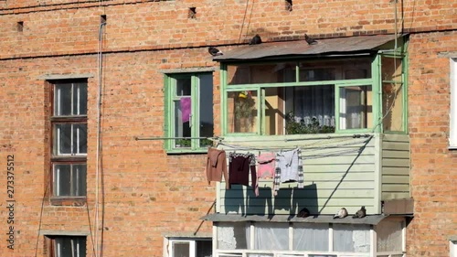 Pigeons scurrying around on the balcony of an old brick apartment building