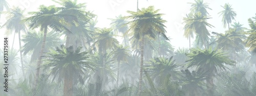 Jungle in the fog at sunrise, palm trees in the haze