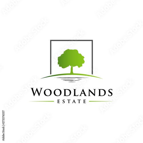 Wood land logo design inspiration vector template. Tree with square frame illustration symbol