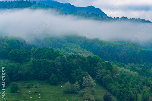 Bera, Basque Country, Spain photo