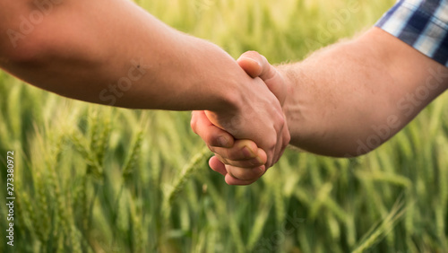 A firm handshake between two male farmers on the background of a wheat field. © StockMediaProduction