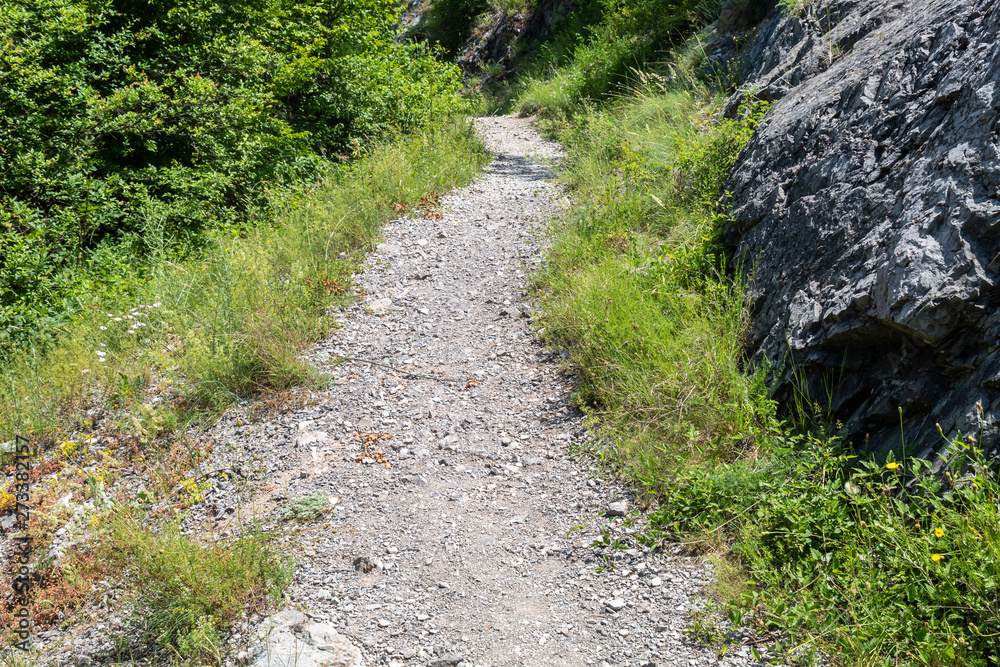 Hiking Gravel Path in The Forest Hiking Gravel Path in The Forest