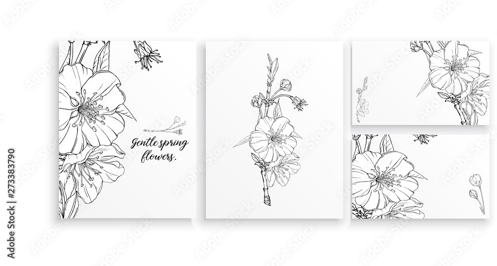 Fototapeta premium Vector floral composition with spring flowers