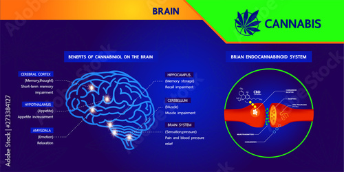 Cannabis benefits for health vector illustration.