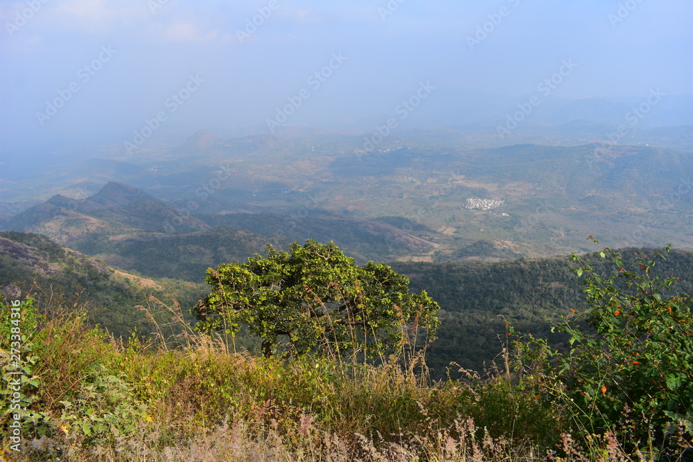 Fototapeta premium View of Cumbam Valley from Meghamalai Hills in Tamil Nadu