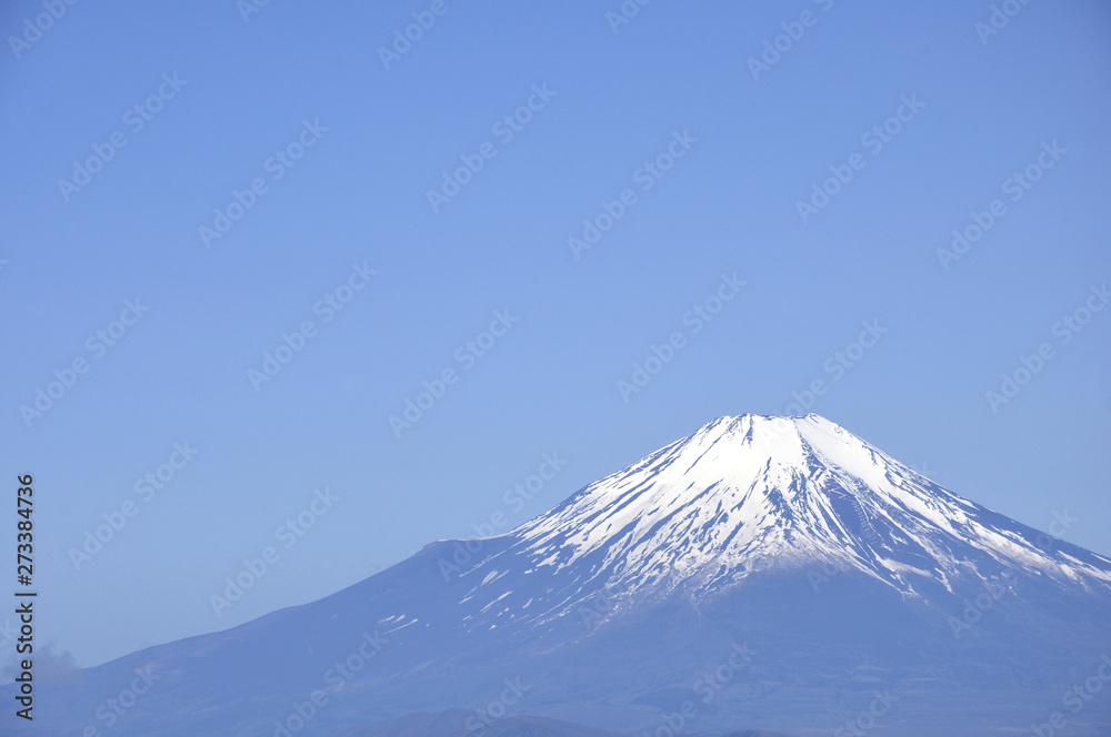 富士山コピースペース