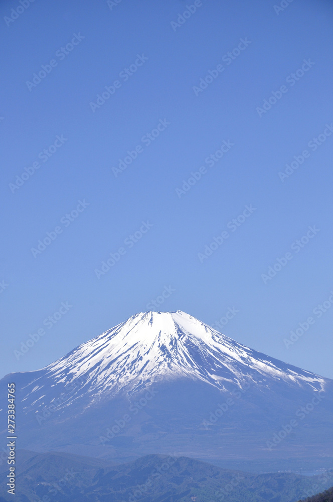 富士山コピースペース