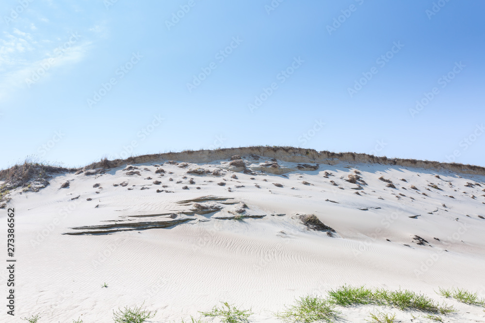 Sand dunes of the Curonian spit also known as 
