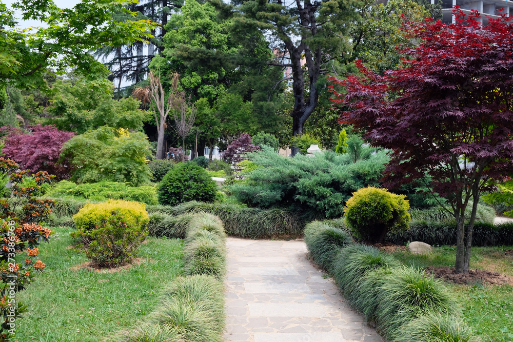 Bushes and trees in the botanical garden in the summer season. park outdoor landscape and exterior design back yard environment space with grass flower bed and small trail for walking