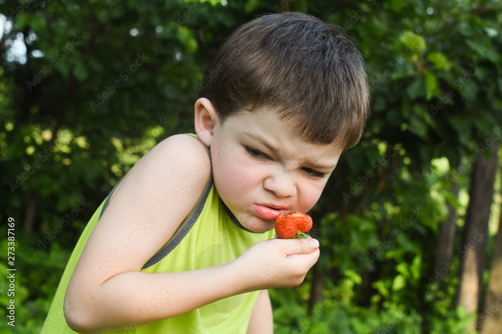 Child eat ripe organic strawberry in garden. Boy make a silly face while eat strawberry Child eat ripe organic strawberry in garden. Boy make a silly face while eat strawberry