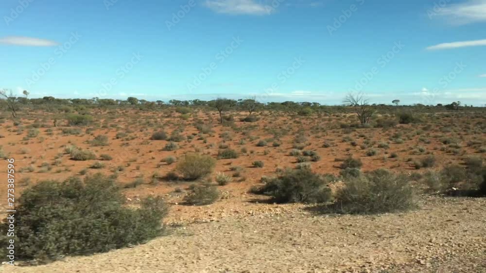 Landscape of trees and plants as view from a car driving along Stuart Highway in central Australia outback. Landscape of trees and plants as view from a car driving along Stuart Highway in central Australia outback.