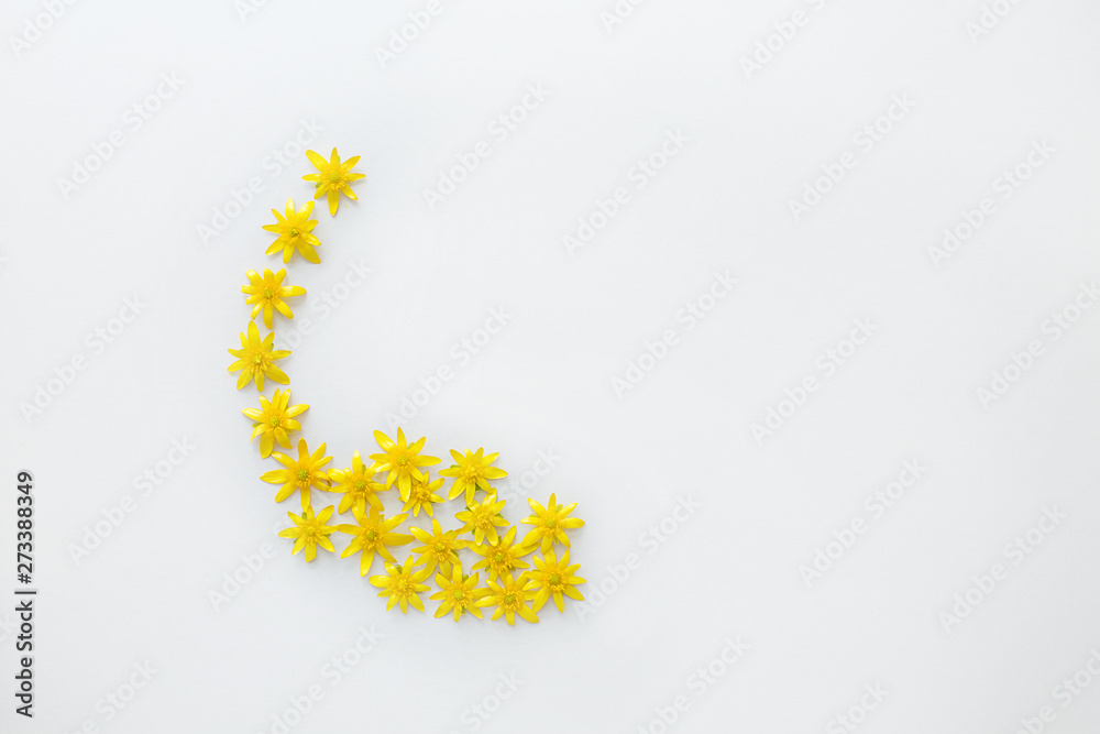 yellow spring flowers on a light background