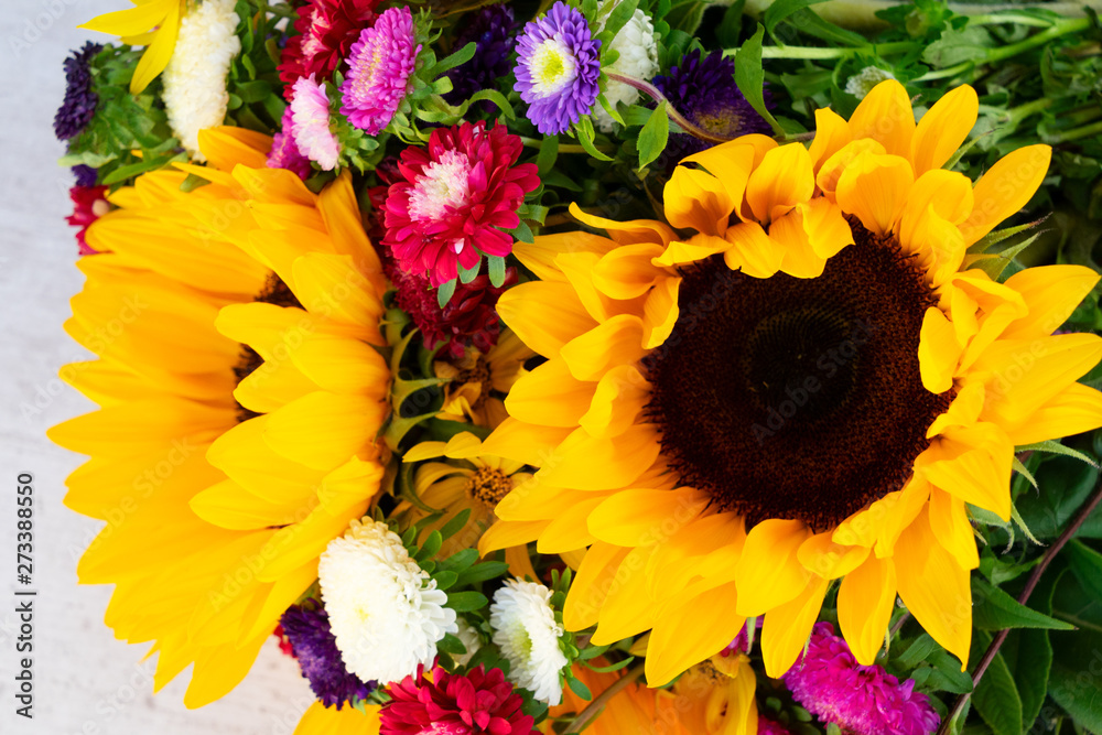 Fototapeta premium Sunflowers on white