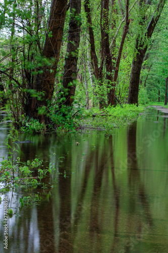 Relections in the Lagoon 