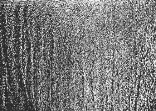 Background texture of genuine leather and wild deer fur. Brown and gray color of wild animal.