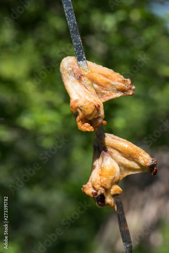 Fried chicken wings kebab