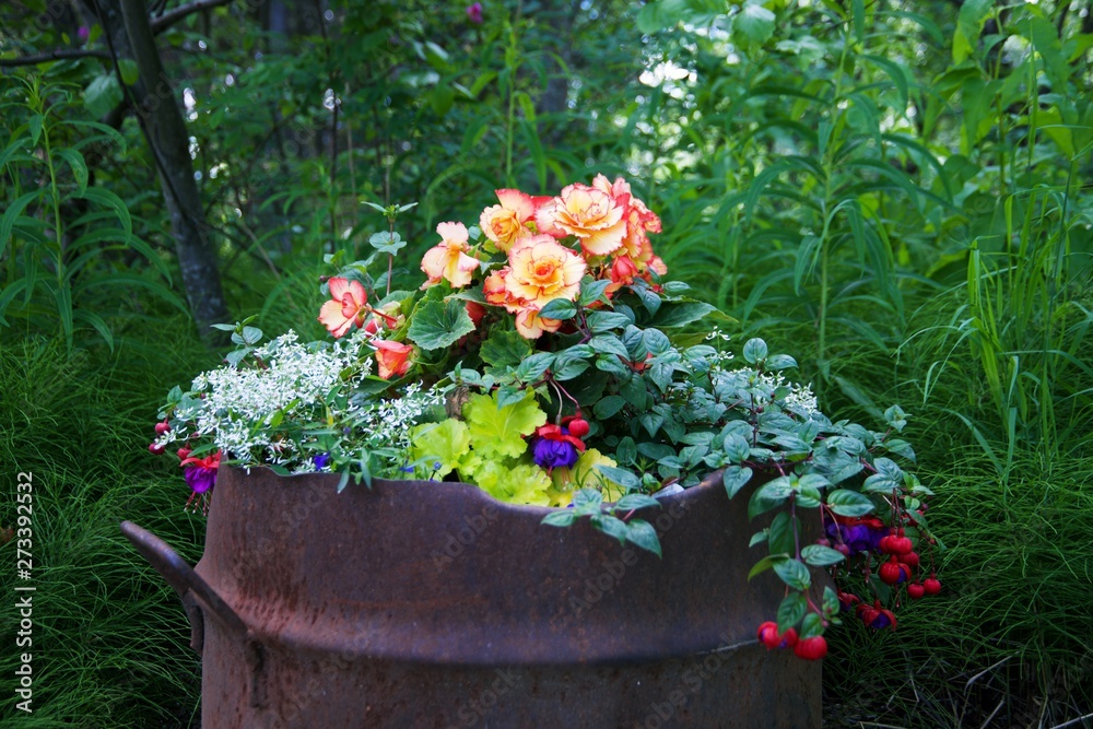 Fototapeta premium flowers in rusted metal barrel 