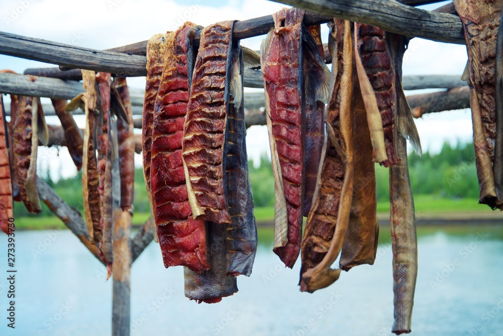 Scored Salmon Fish drying on outdoor drying rack in Alaska