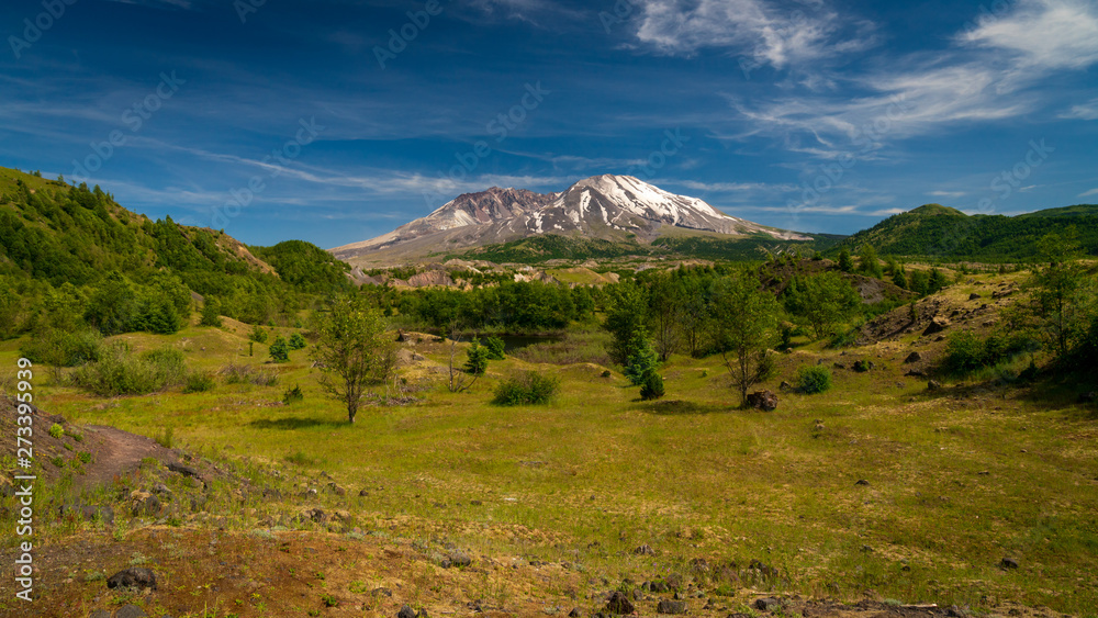 Fototapeta premium Mount Saint Helens As Seen From Hummocks Trail and Valley