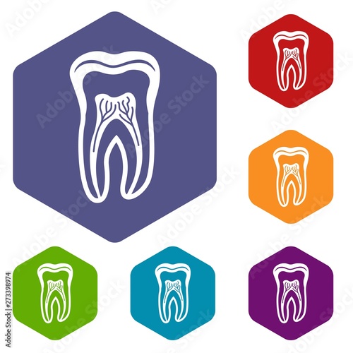 Tooth structure icon. Simple illustration of tooth structure vector icon for web