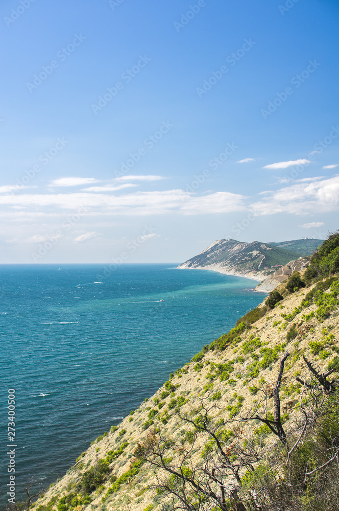 View from the mountain with trees to the sea under the blue sky with clouds. Vertical frame