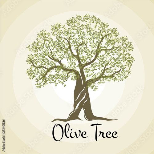 olive tree