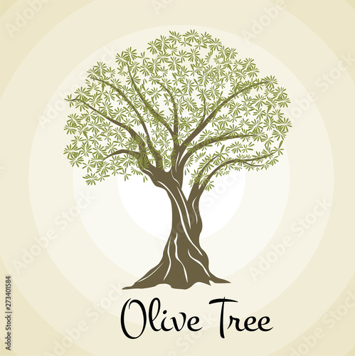olive tree