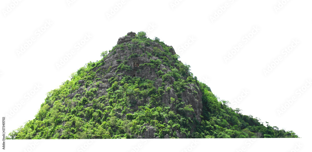 mountain rock with forest at thailand isolate on white background Stock ...