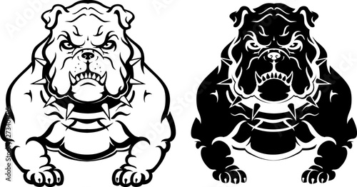 Bull Dog Front View Growling