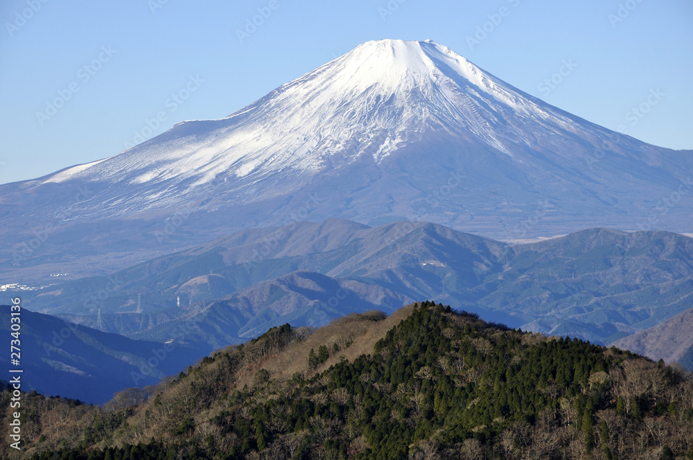 鍋割山より富士山を望む