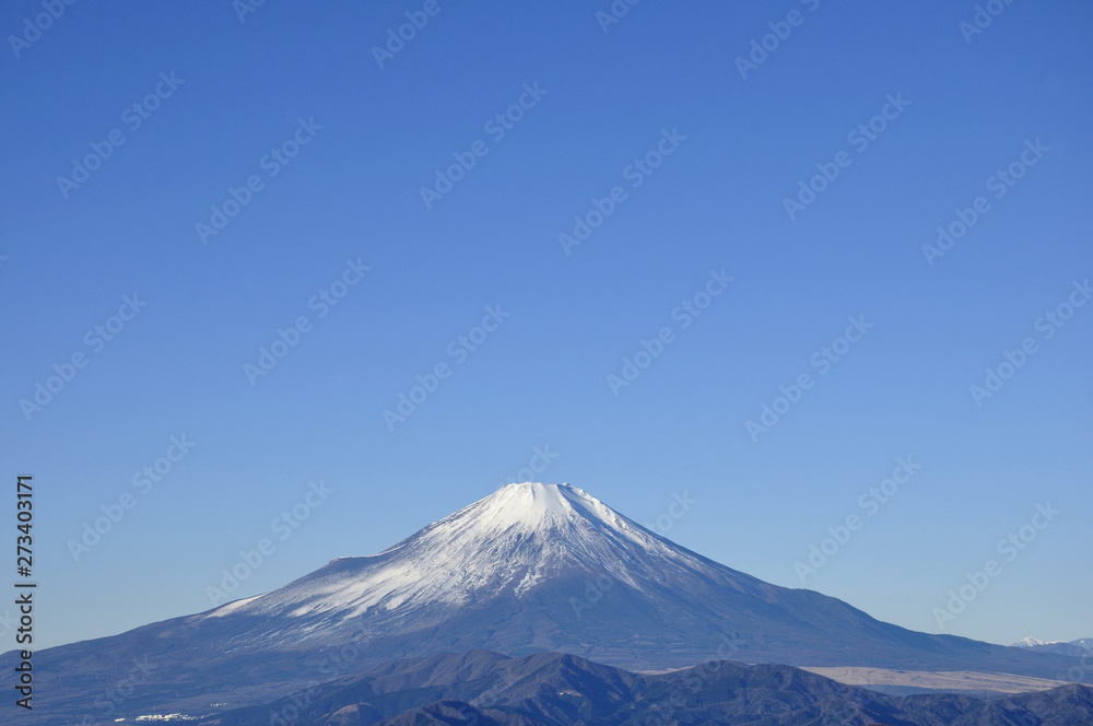 冬晴に富士山