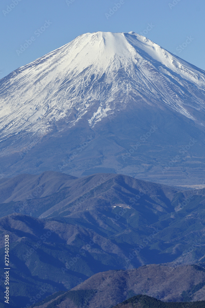 富士山を望む