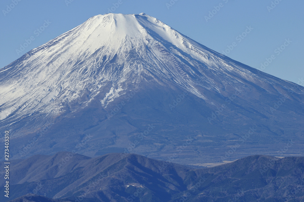 富士山を望む 富士山を望む