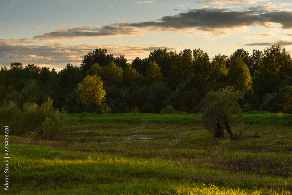 Dramatic sunset on the summer field.