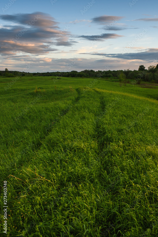 Obraz premium Dramatic sunset on the summer field.