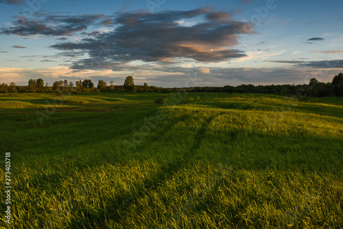 Dramatic sunset on the summer field.